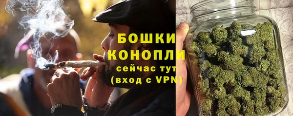 гидра Новокубанск