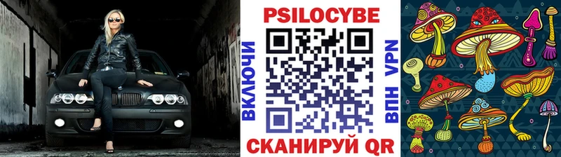 маркетплейс состав  OMG онион  Судогда  Псилоцибиновые грибы GOLDEN TEACHER 